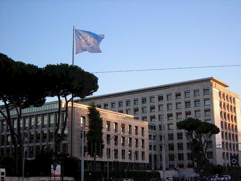 Fao Rome