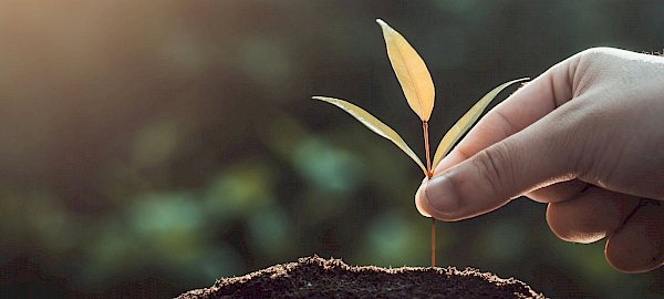 Qualità, Ambiente e Sicurezza